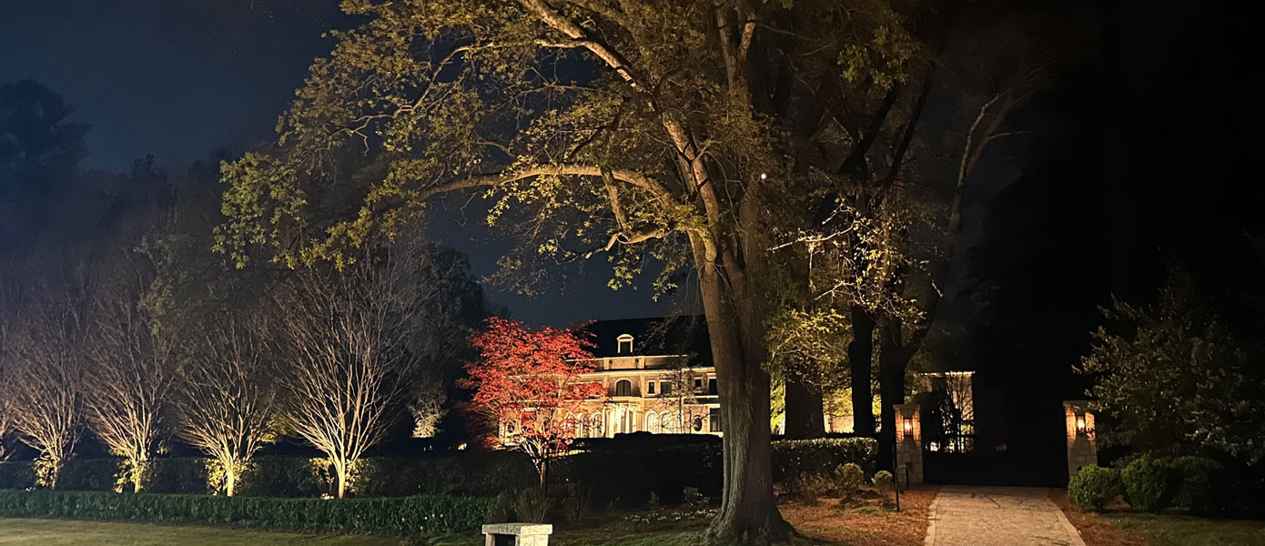 A picture containing outdoor, grass, house, nightDescription automatically generated