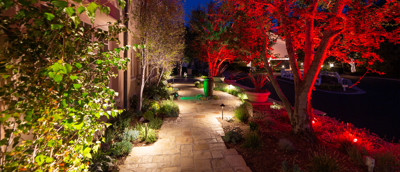 A picture containing outdoor, tree, landscape lighting, nightDescription automatically generated