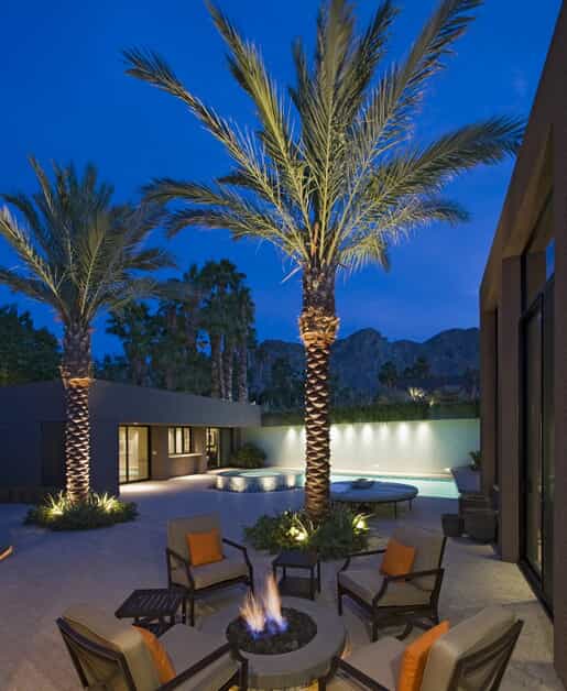 Palm tree with uplighting