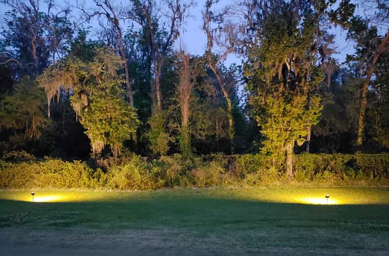 uplighting backyard trees