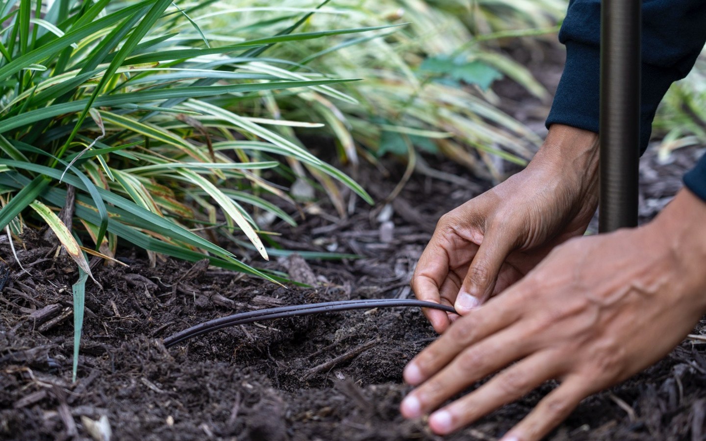 A person planting a plant

Description automatically generated