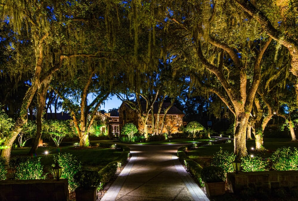 unique landscape lighting