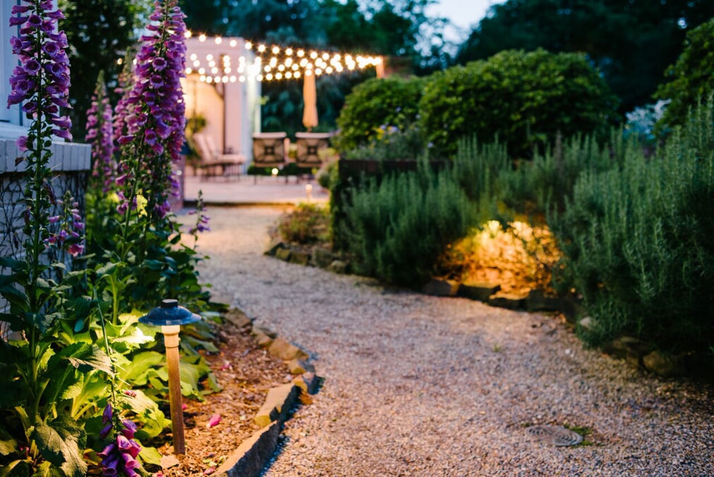 professional landscape lighting