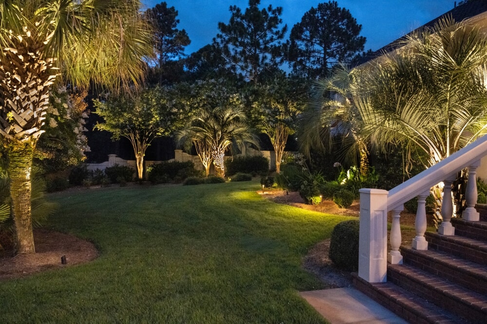 custom palm tree lighting