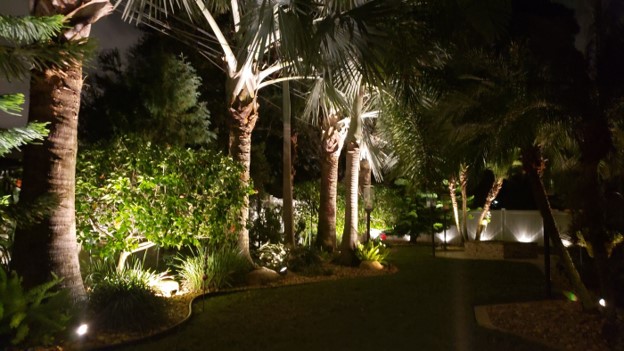 night time visual of palm trees and residential yard with illumination planter lighting 