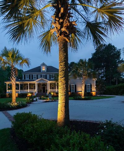 outdoor lighting palm tree florida