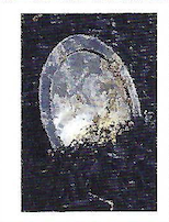 lens cover