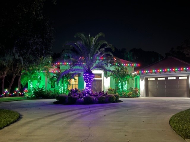 purple halloween lights on a palm tree