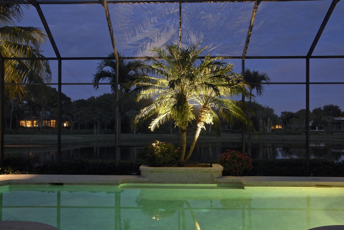 Palm Tree and Pool Lighting
