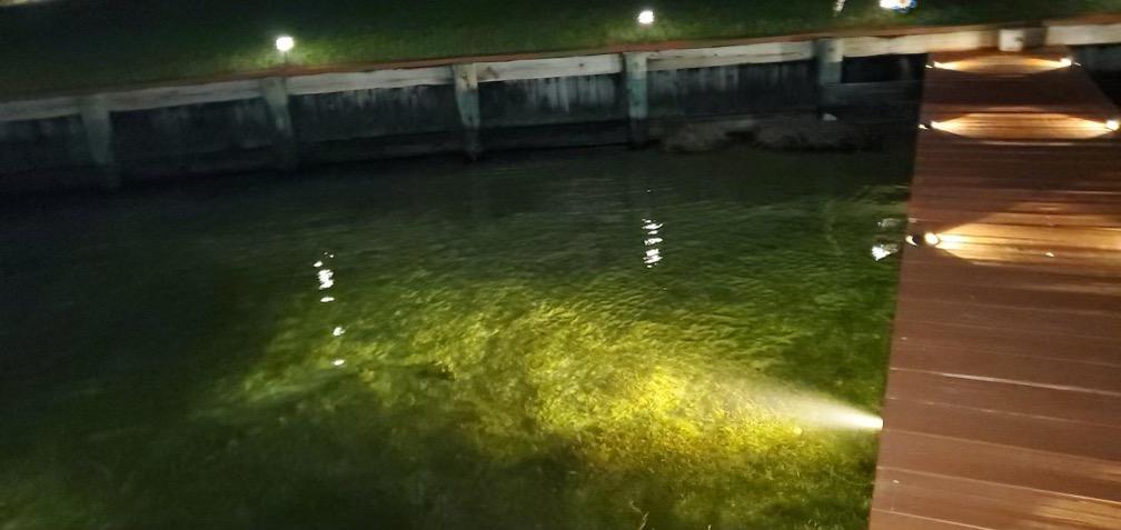 dock lighting into water