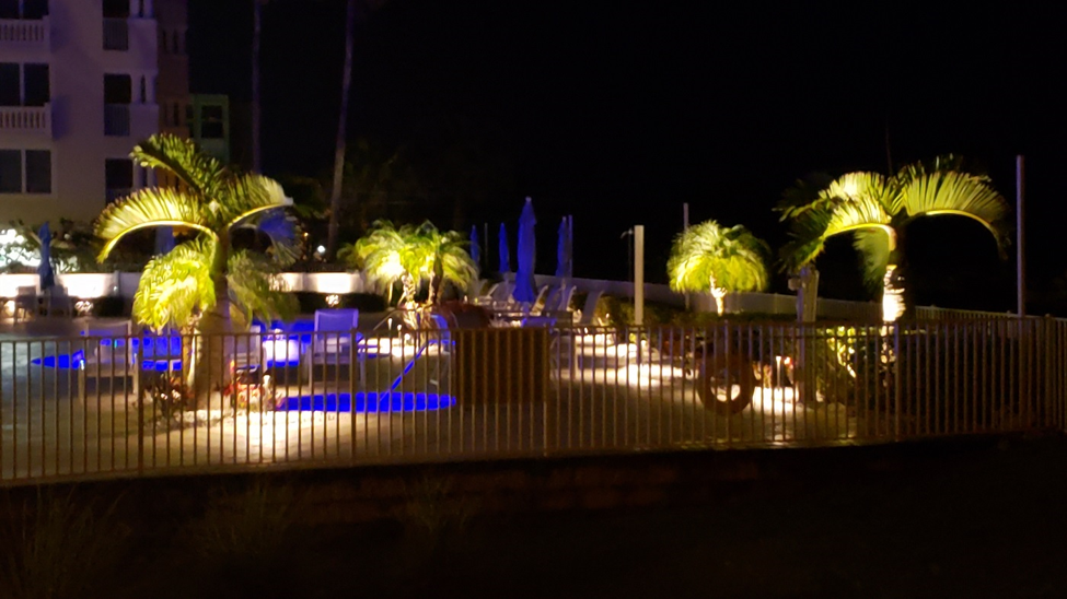 pool area and palm trees lit by OLP lighting