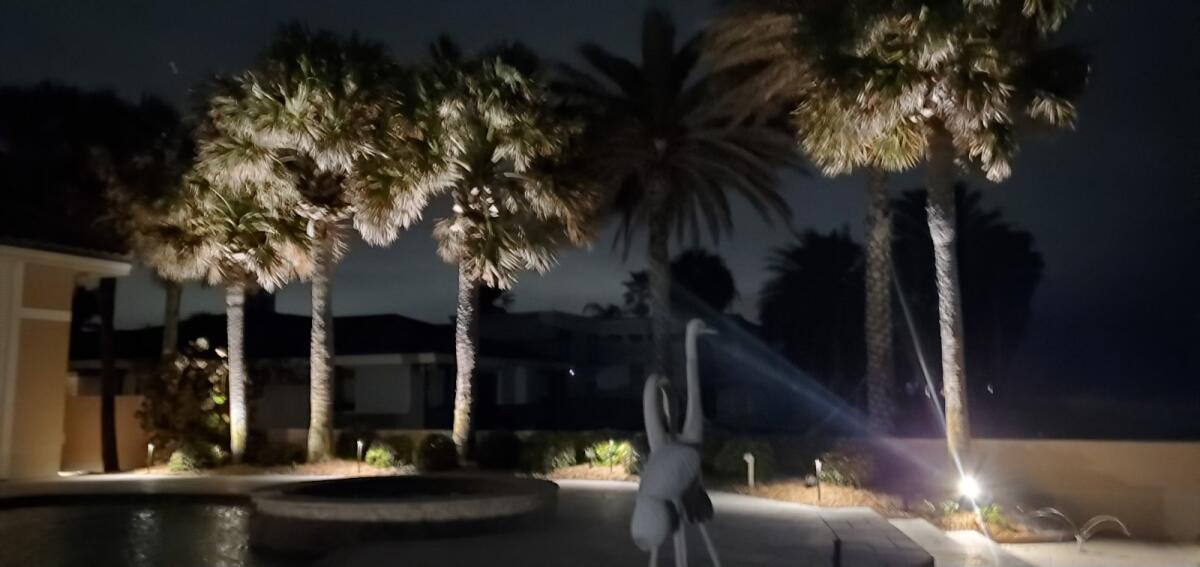 professional outdoor lighting