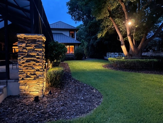 tree and rock lighting