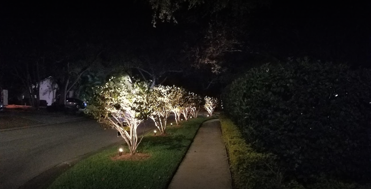 warm LED tree lighting