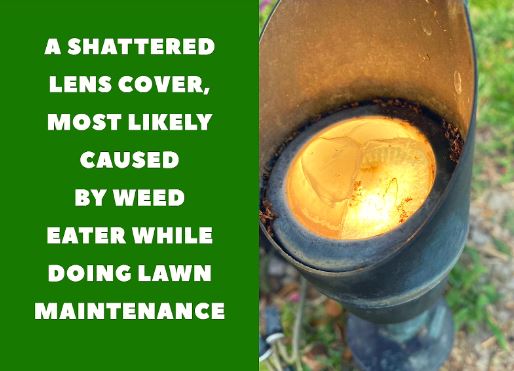 weed eater damage