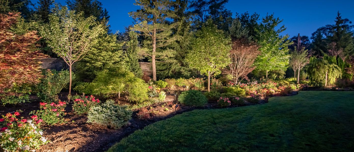 outdoor landscape lighting