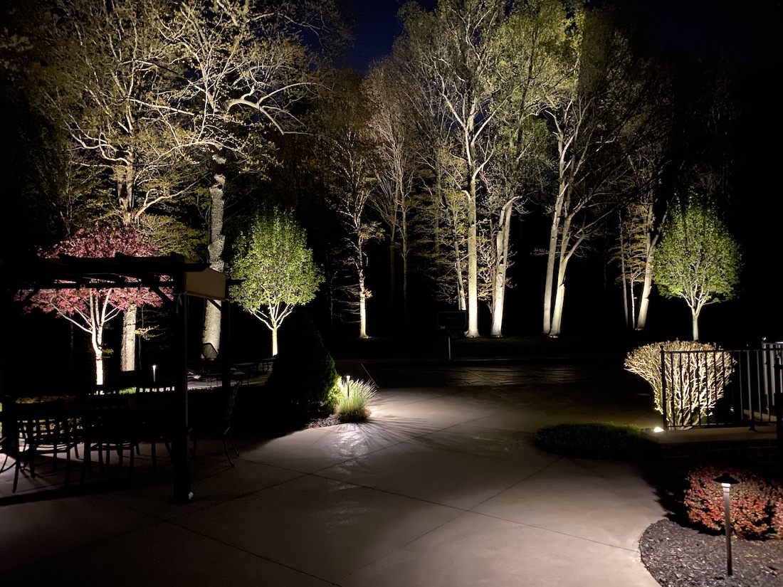 landscape lighting and tree lighting