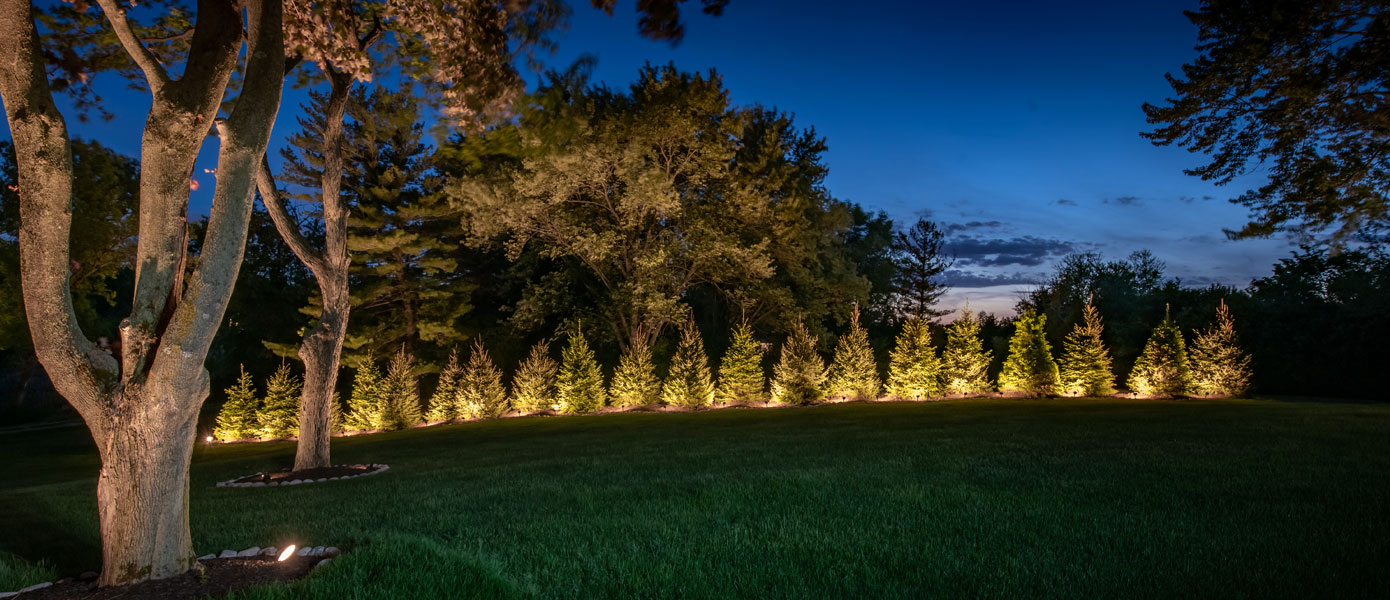 Row of trees lit with outdoor lighting