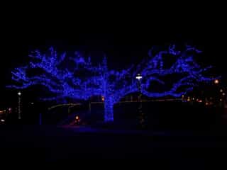 Holiday lightinig