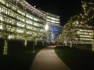 Holiday tree lighting