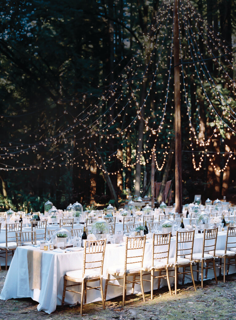 Wedding Light Canopy