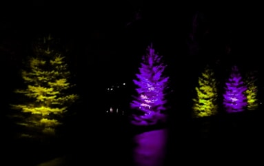RGB LED tree lighting 