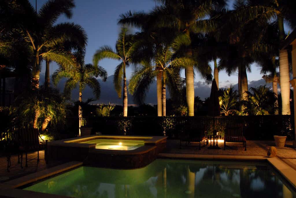 naples royal palm trees with outdoor lighting 
