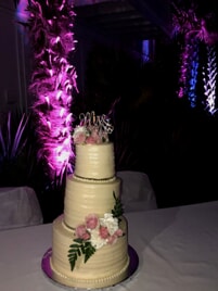wedding cake with colored landscape lights