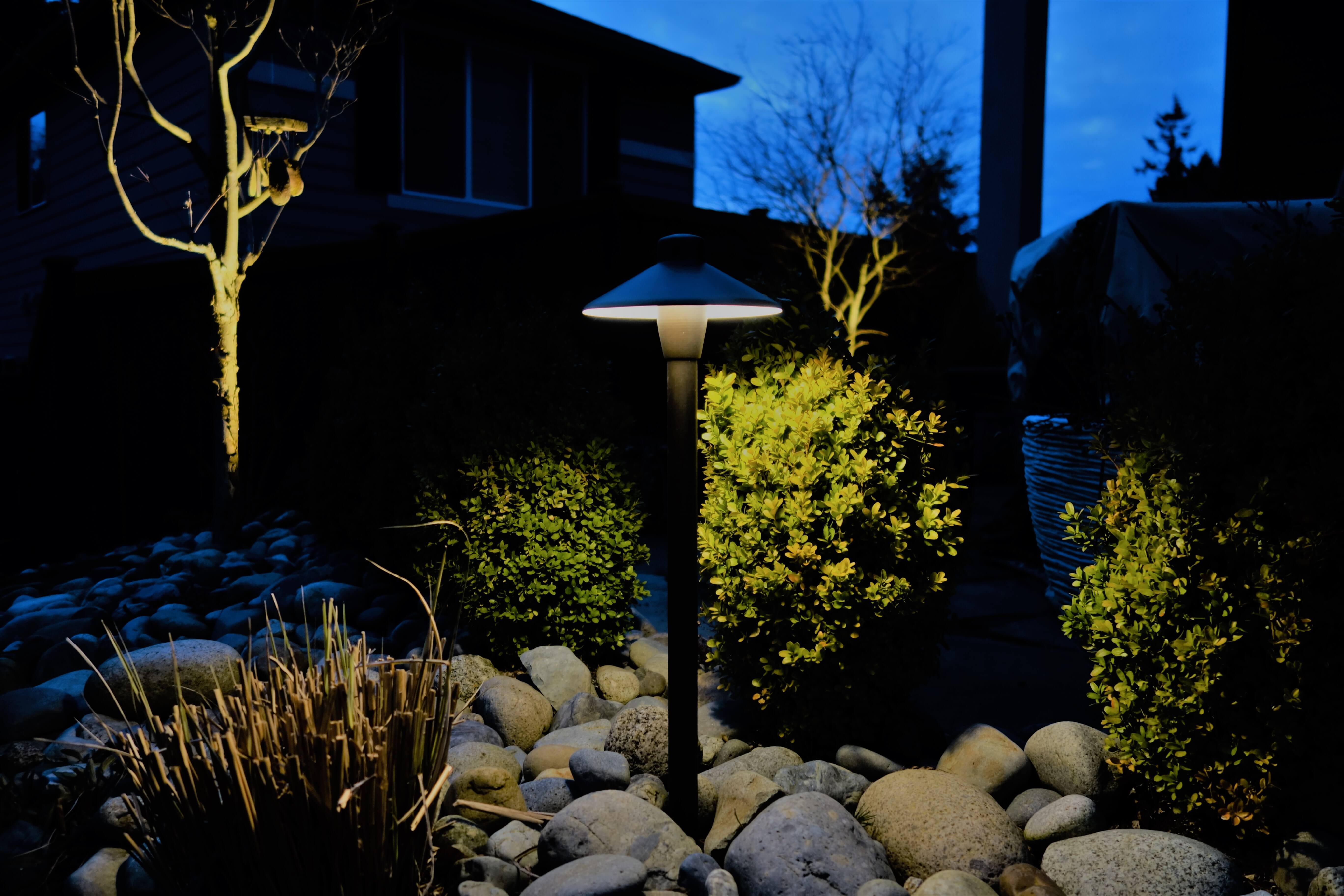 A garden with trees and rocks with special landscape lighting