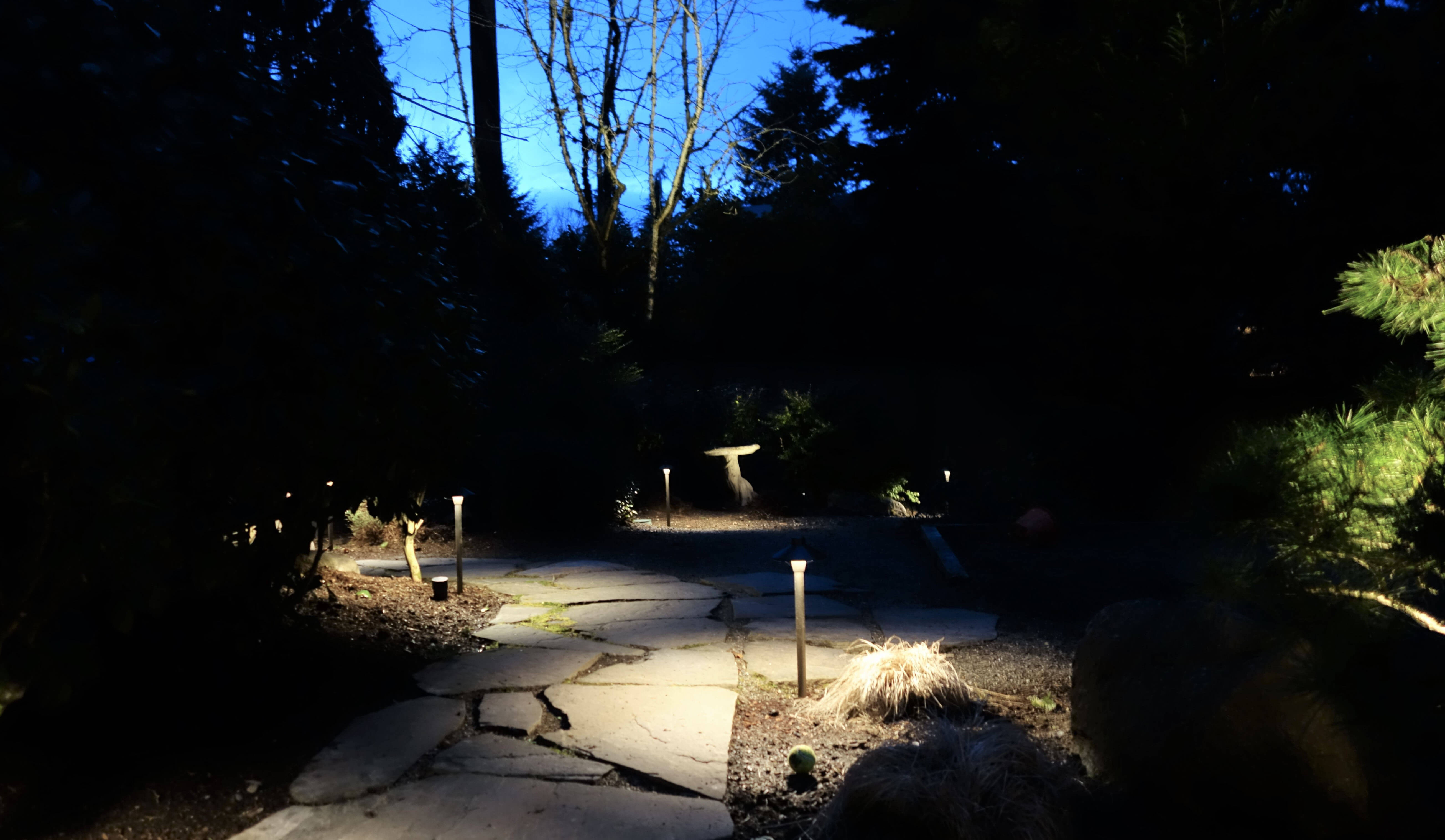 Rock pathway lit by pathway lighting
