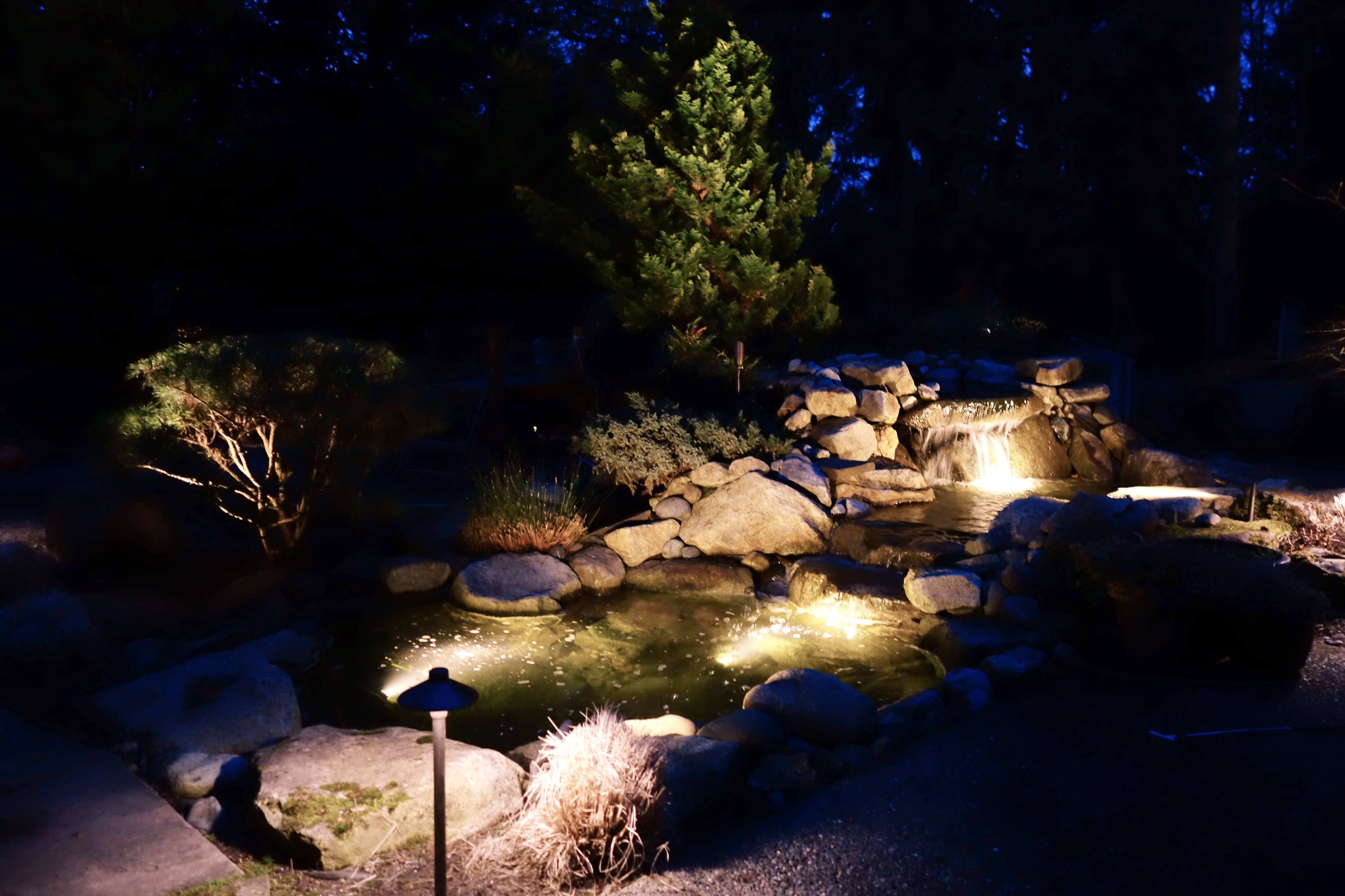 Rock and water feature lit at night