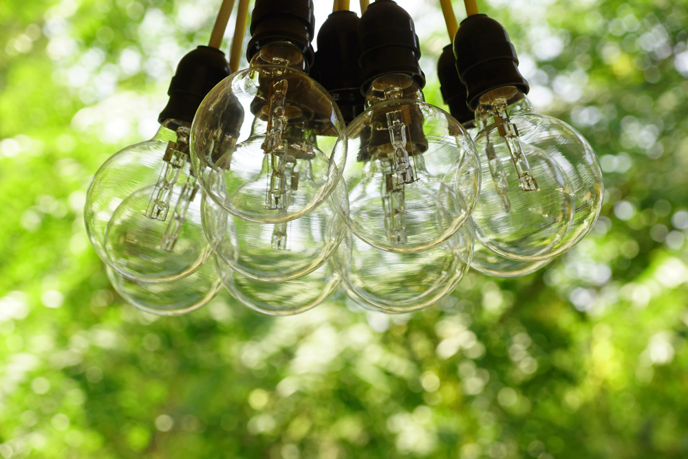 Close up of cluster lights hanging, with tree leaves in the background