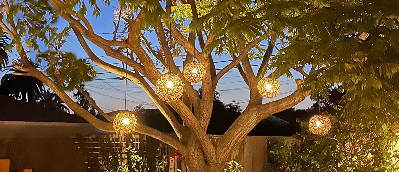 professional outdoor lighting with custom globe landscape lighting