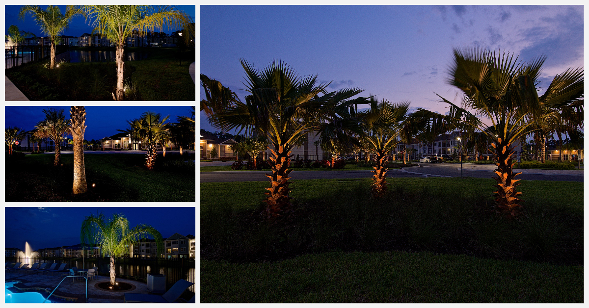 palm tree lighting 