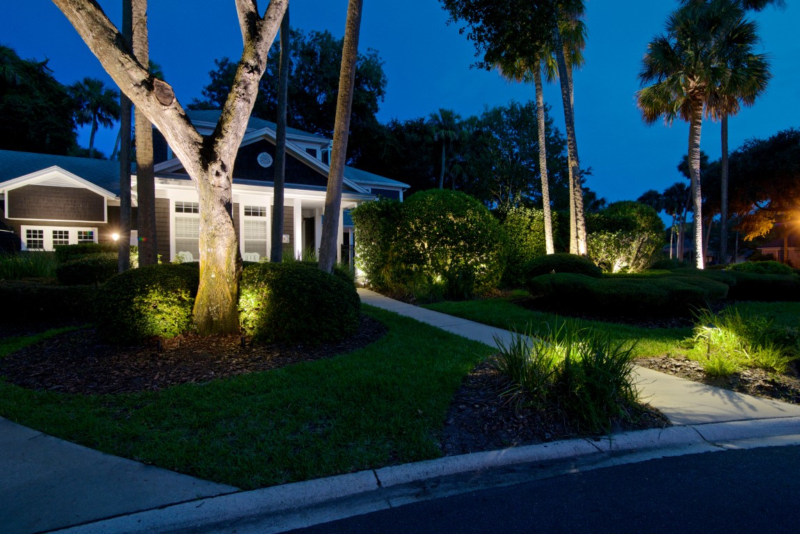 front yard and landscaping lighting 