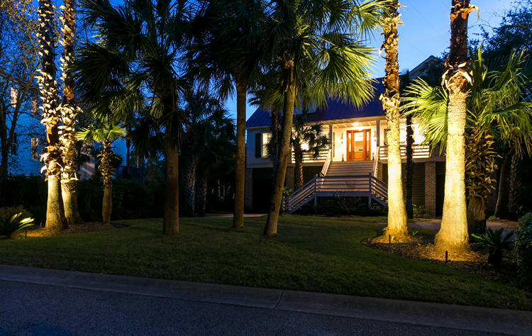 palm trees and house illuminated