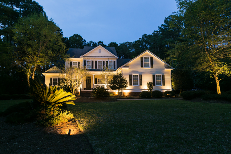 front yard , trees, and plants illuminated with outdoor lighting 