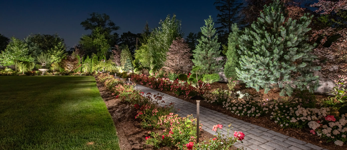A path with trees and flowers at nightDescription automatically generated