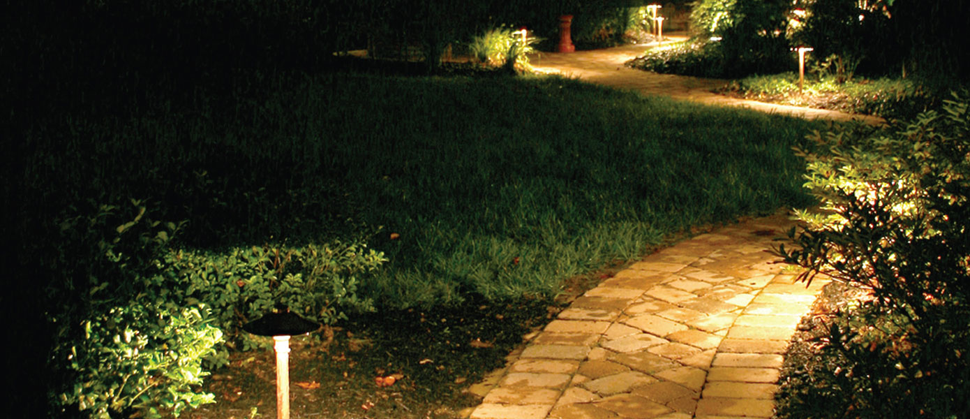 A picture containing outdoor, plant, grass, treeDescription automatically generated