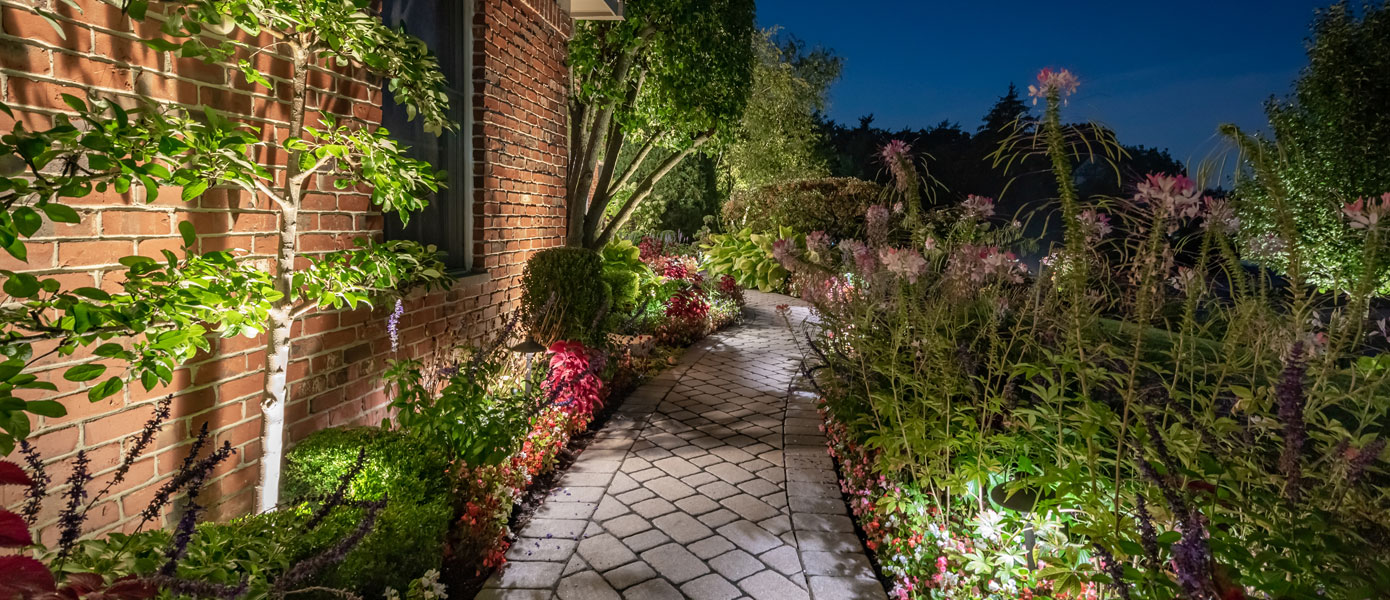 A walkway with flowers and plants on itDescription automatically generated