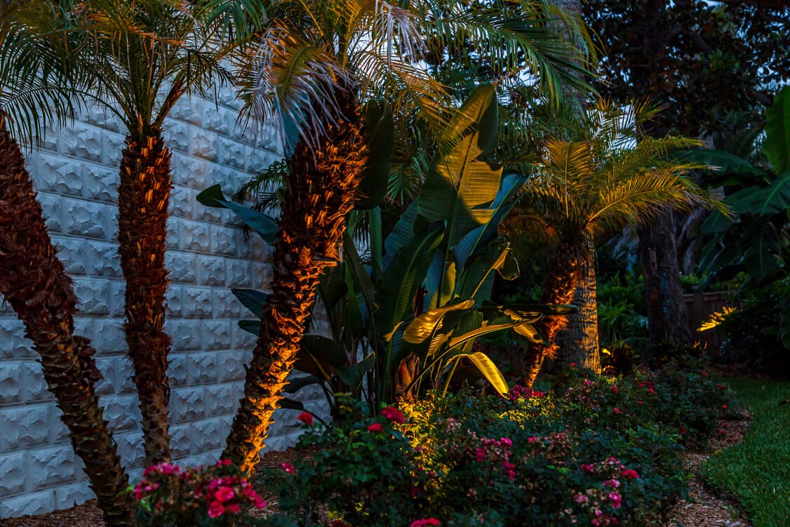 landscape lighting