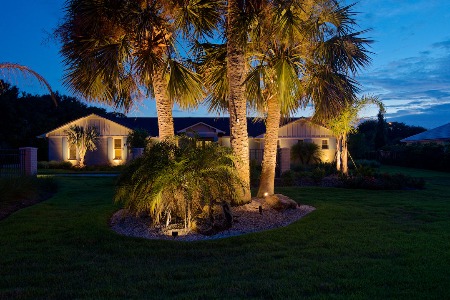landscape lighting on palm trees at sunset 