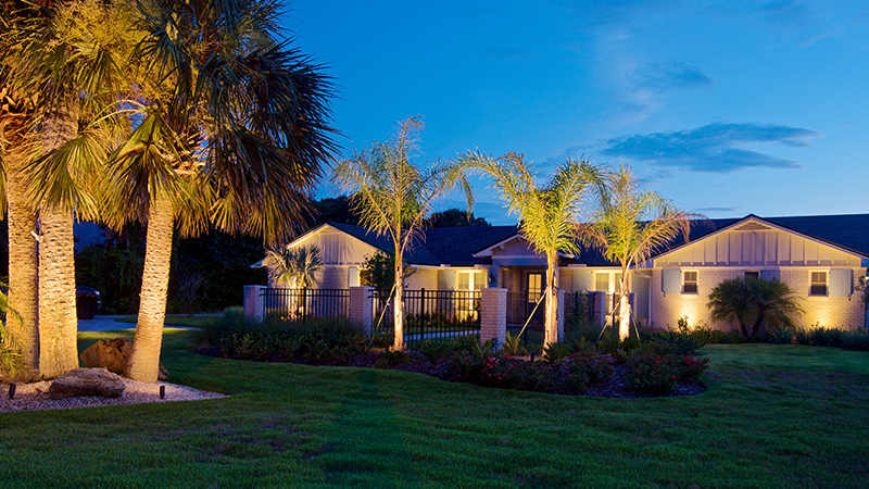 home with palm tree lighting 