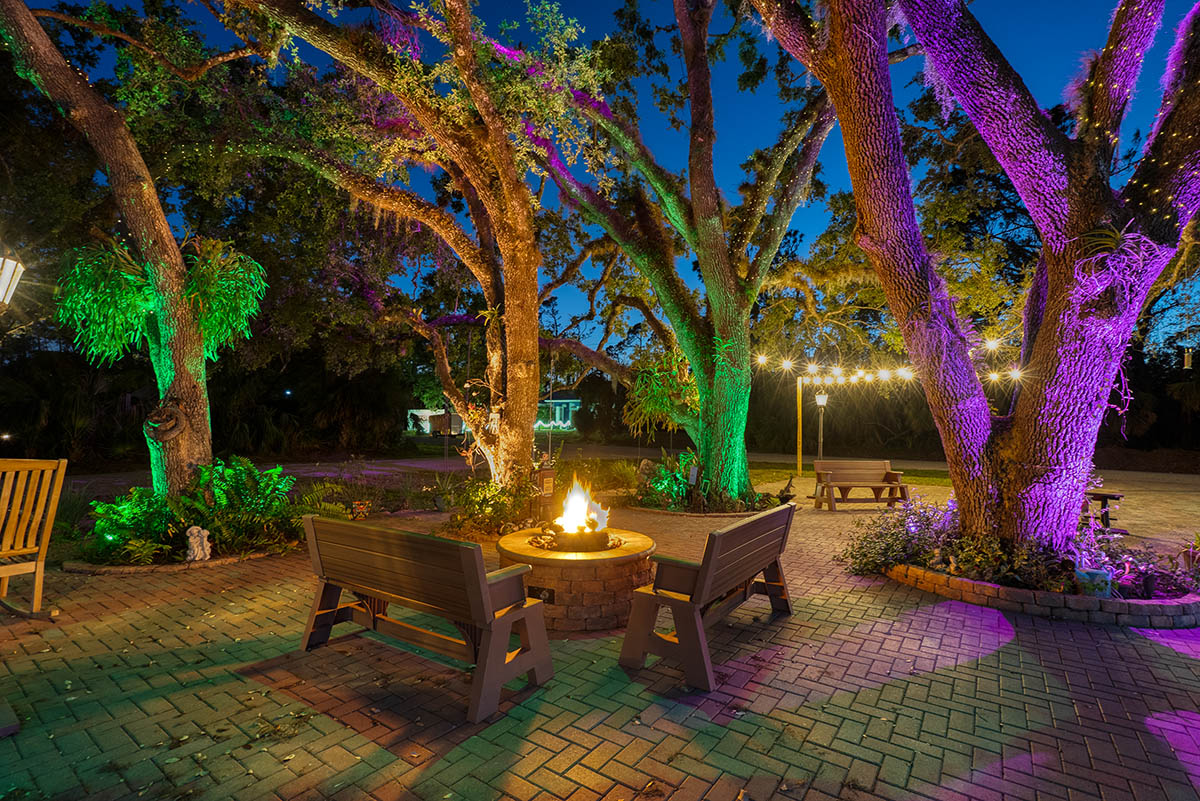 green and purple color changing lights in virginia beach