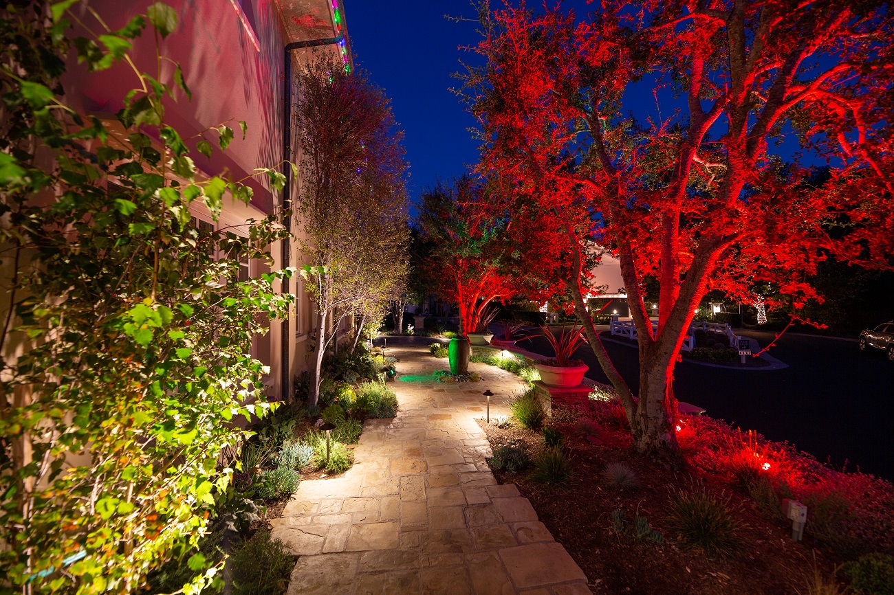 color-changing landscape lighting in Midlothian, VA