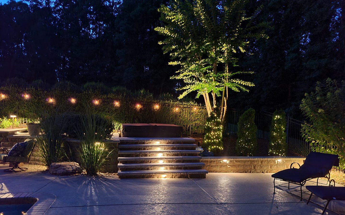 custom landscape lighting project in Charlottesville, Virginia