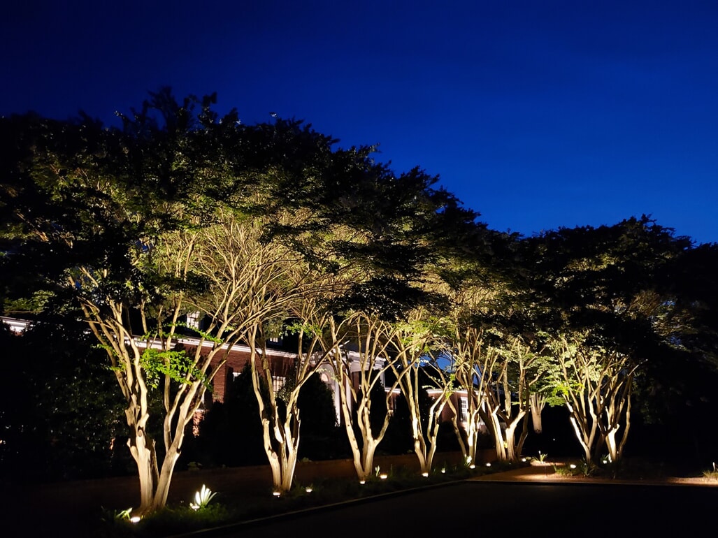outdoor landscape lighting