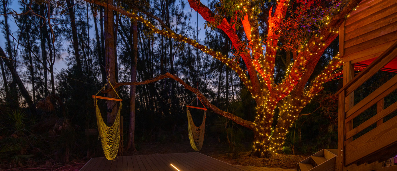 professional color-changing outdoor lighting 