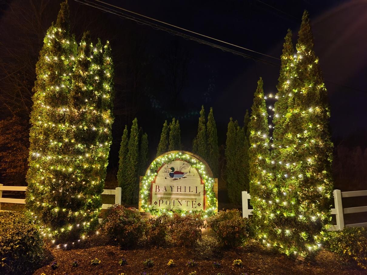 tree and shrub holiday lighting