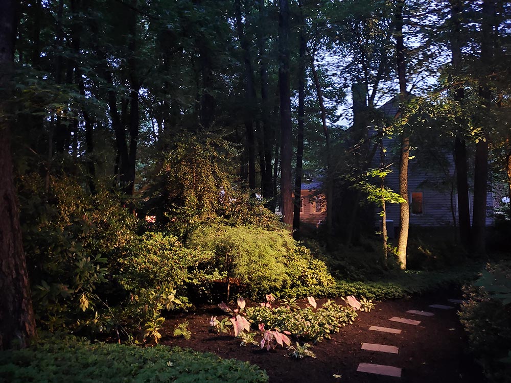 Create an Outdoor Oasis at Night with Upscale Landscape Lighting